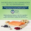 Perfect Coat Skin & Coat Care Salmon Dry Dog Food for Adult Dogs;  Whole Grain