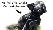 NEW Economical Pet Tracking Device Waterproof Pet Tracker GPS Dog Tracker Size:S