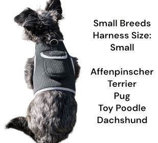 GPS Pet Location Tracking w/ Waterproof Portable Realtime Pet Tracker Size:XXL
