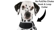 Consistent Realtime Tracking w/ Mini Collar Animal GPS Tracking Device Size:S