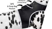 Remote Pet Surveillance Pet Tracker GPS Dog Trackers Collar Mounted Finder Size:XS