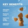Calming Chews for Dogs Duck Flavor Canine Supplement for All Breeds and Sizes