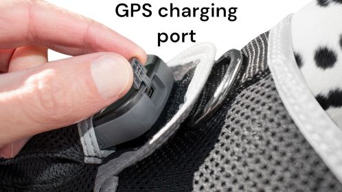 Rechargeable Animal Tracking GPS System Realtime Locator for Protected Wildlife Size:L