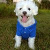 Solid Dog Polo Shirt