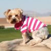 Striped Dog Polo Shirt