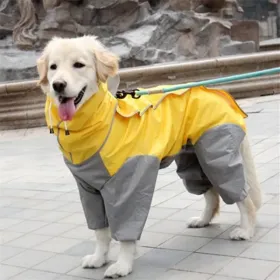 A Raincoat for all small and large dogs; Pet raincoat Medium large dog Golden hair Samo Alaska waterproof four foot raincoat Dog hooded raincoat (colour: Lemon yellow, size: 30)