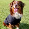Solid Dog Polo Shirt