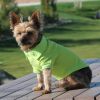 Solid Dog Polo Shirt