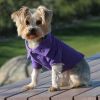 Solid Dog Polo Shirt