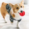 Squeaky Dog Ball Toy with Tooth Cleaning and Bite Resistant Design